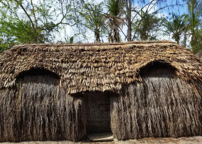 Giriama Cultural Dance Show and Local Village Tour
