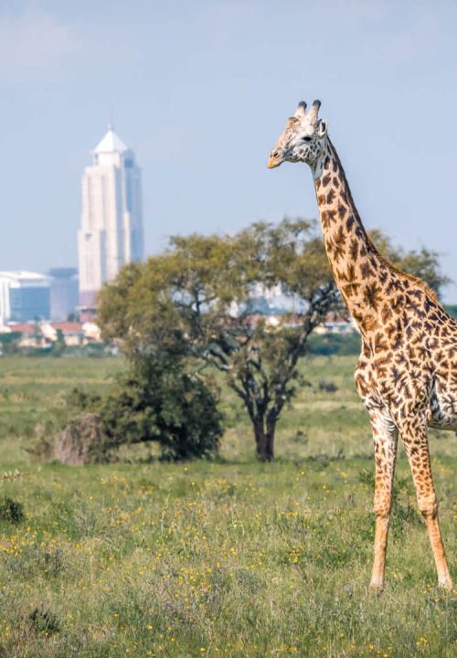 Destinations_Nairobi_Kenya