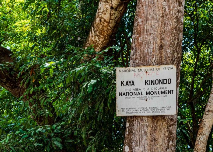 Kaya Kinondo Sacred Forest Guided Tour