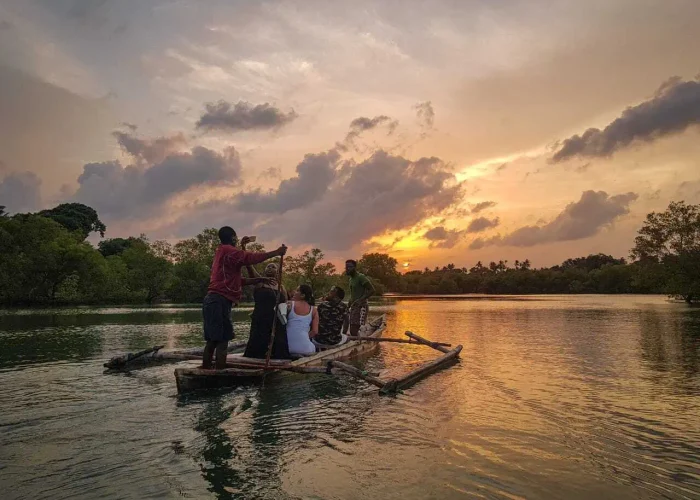 Kongo River: Mangrove Forest & Sundown Experience