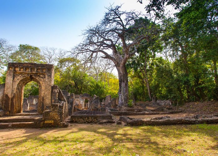 Malindi Full Day Tour with Gede Ruins