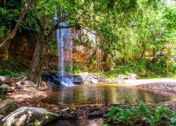 Shimba Hills Day Safari & Sheldrick Falls Hike